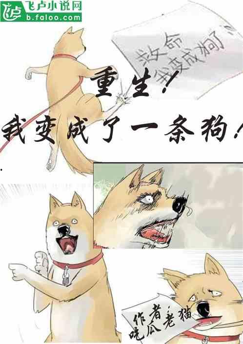 娱乐圈吃瓜小狗小说在线阅读